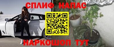 амф Коммунар